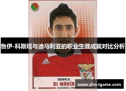 鲁伊-科斯塔与迪马利亚的职业生涯成就对比分析